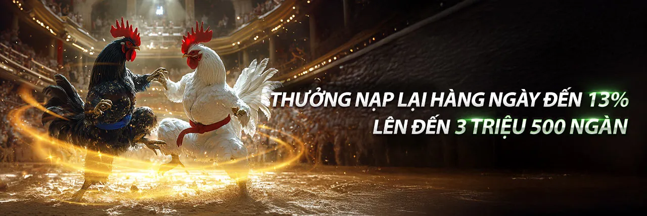 Đá gà trực tuyến 888k casino với các trận đấu kịch tính và gà chiến mạnh mẽ