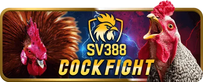 Dữ liệu cá nhân được bảo vệ trên máy chủ an toàn của 888k casino